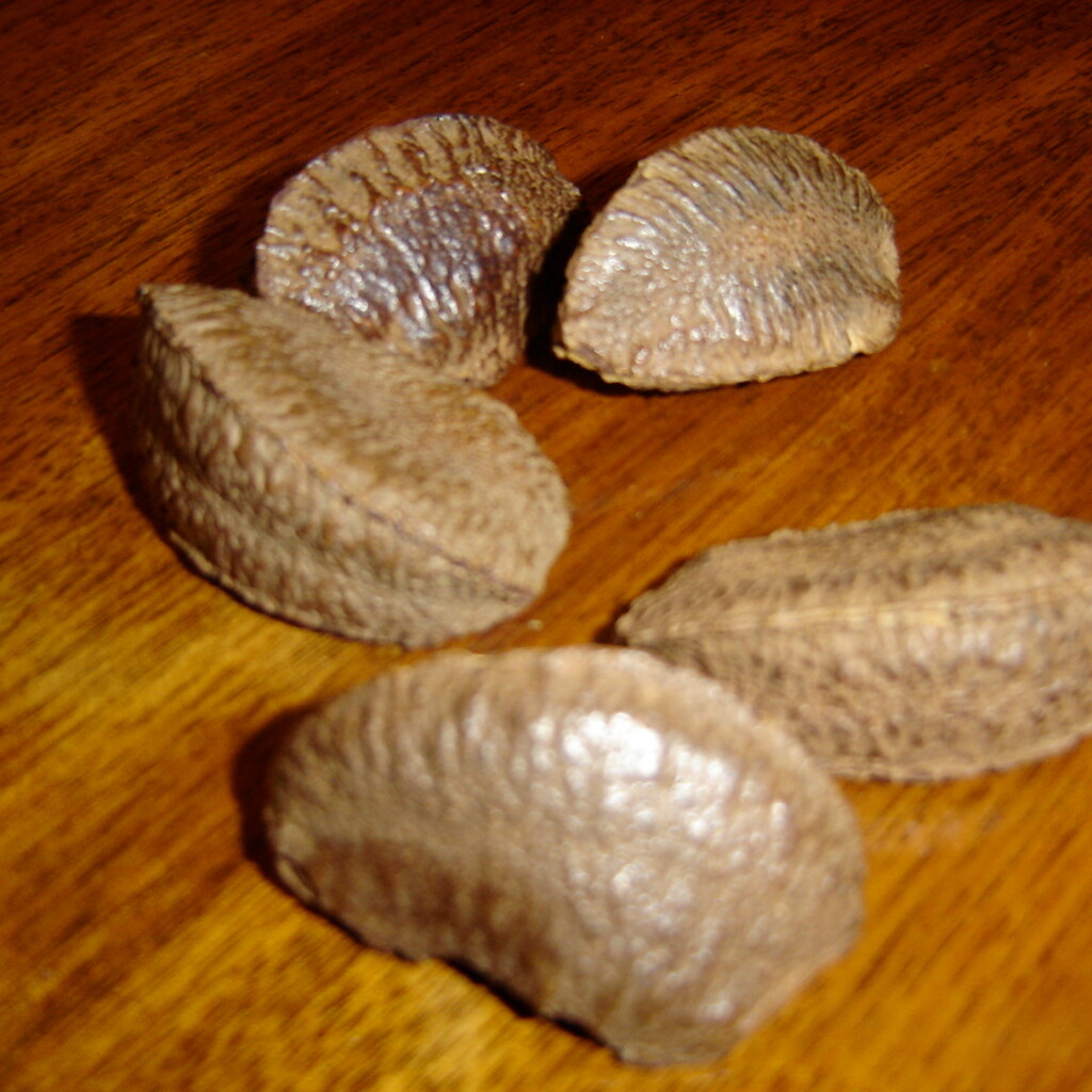 Photo of brazil nuts