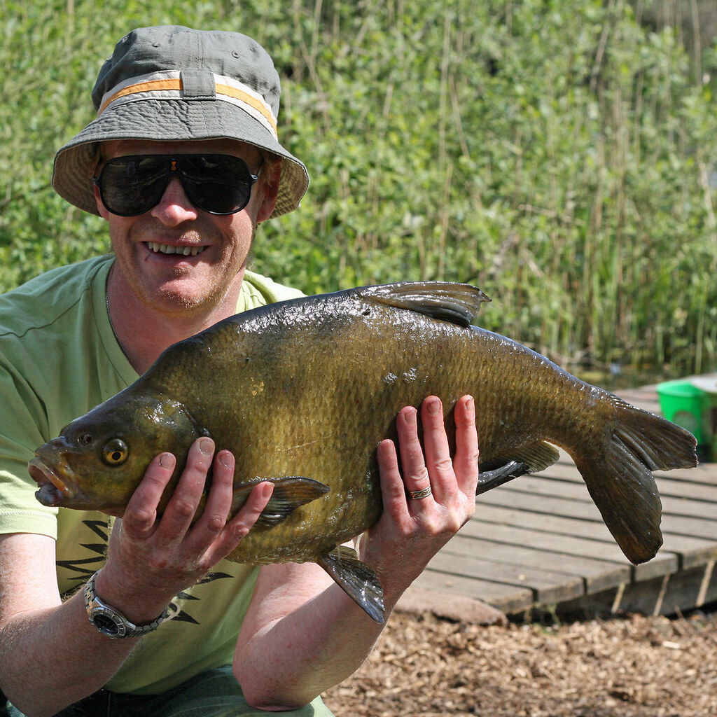 Photo of a bream
