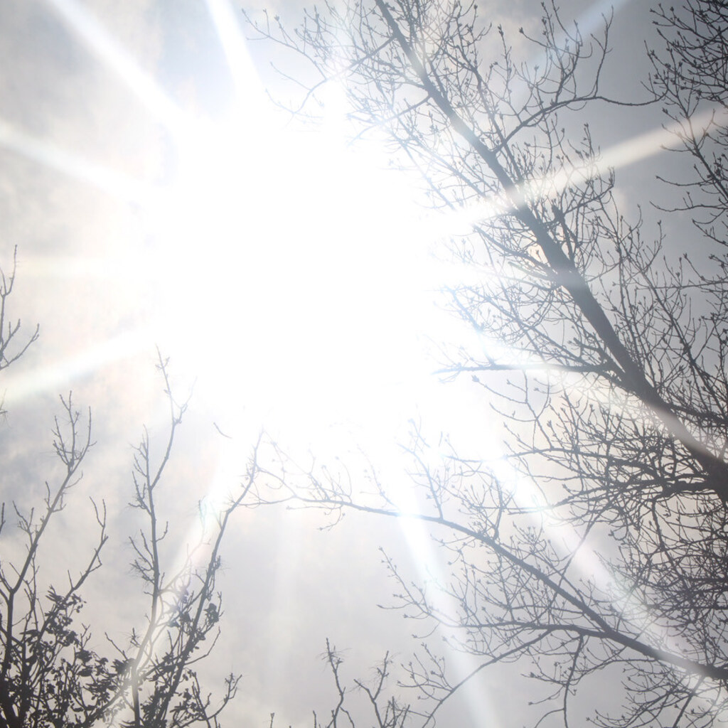 Photo of a bright sunny day