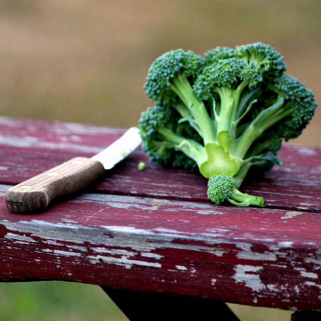 Photo of broccoli