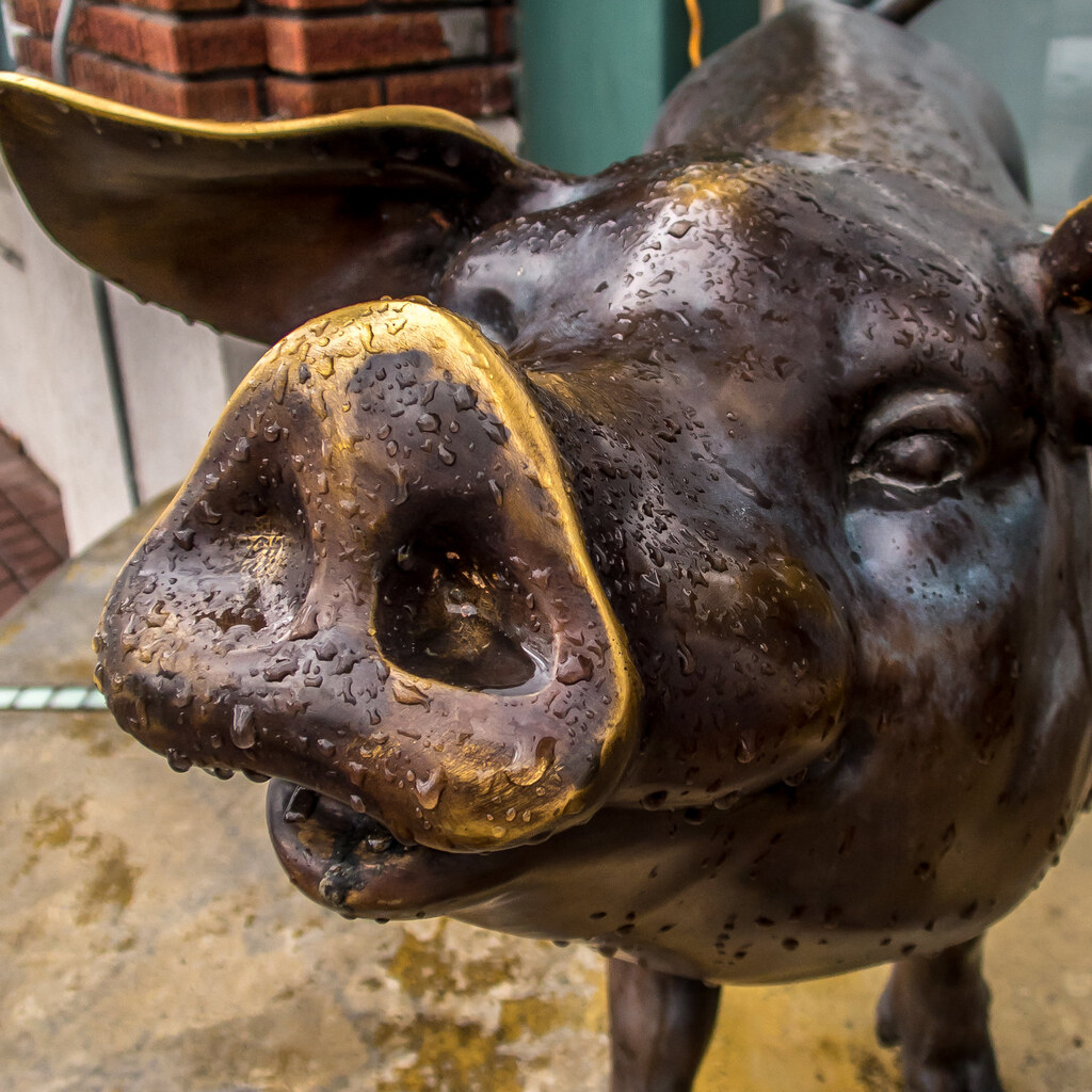 Photo of a bronze sculpture