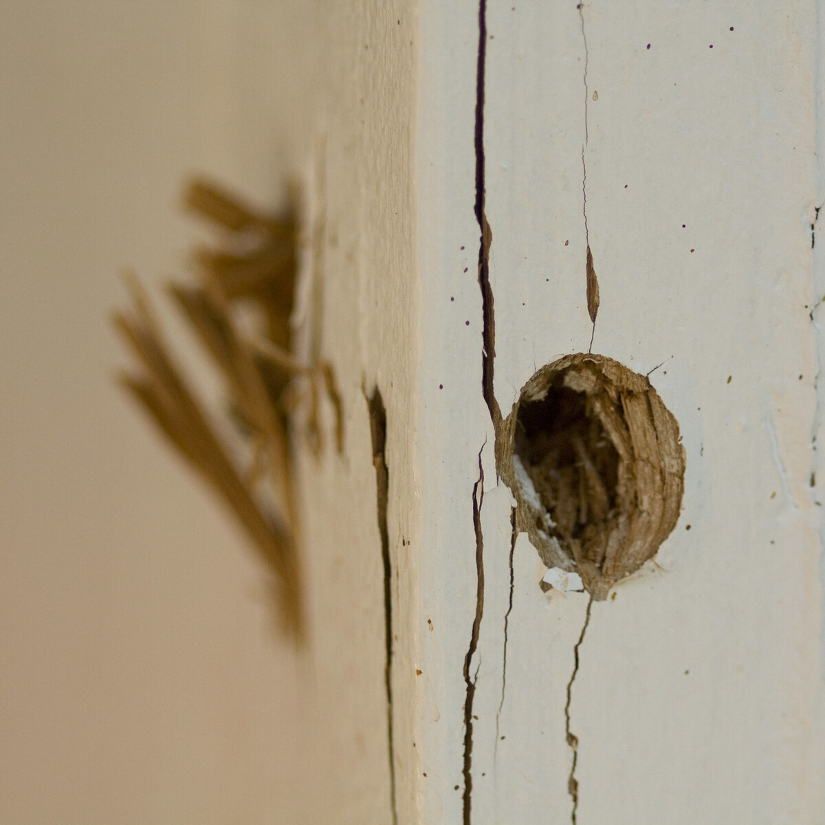 Photo of a bullethole