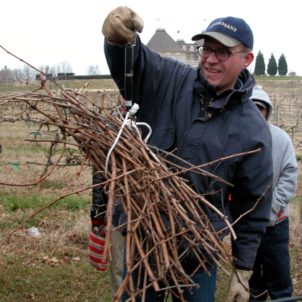 Photo of a man holding a bundle of sticks