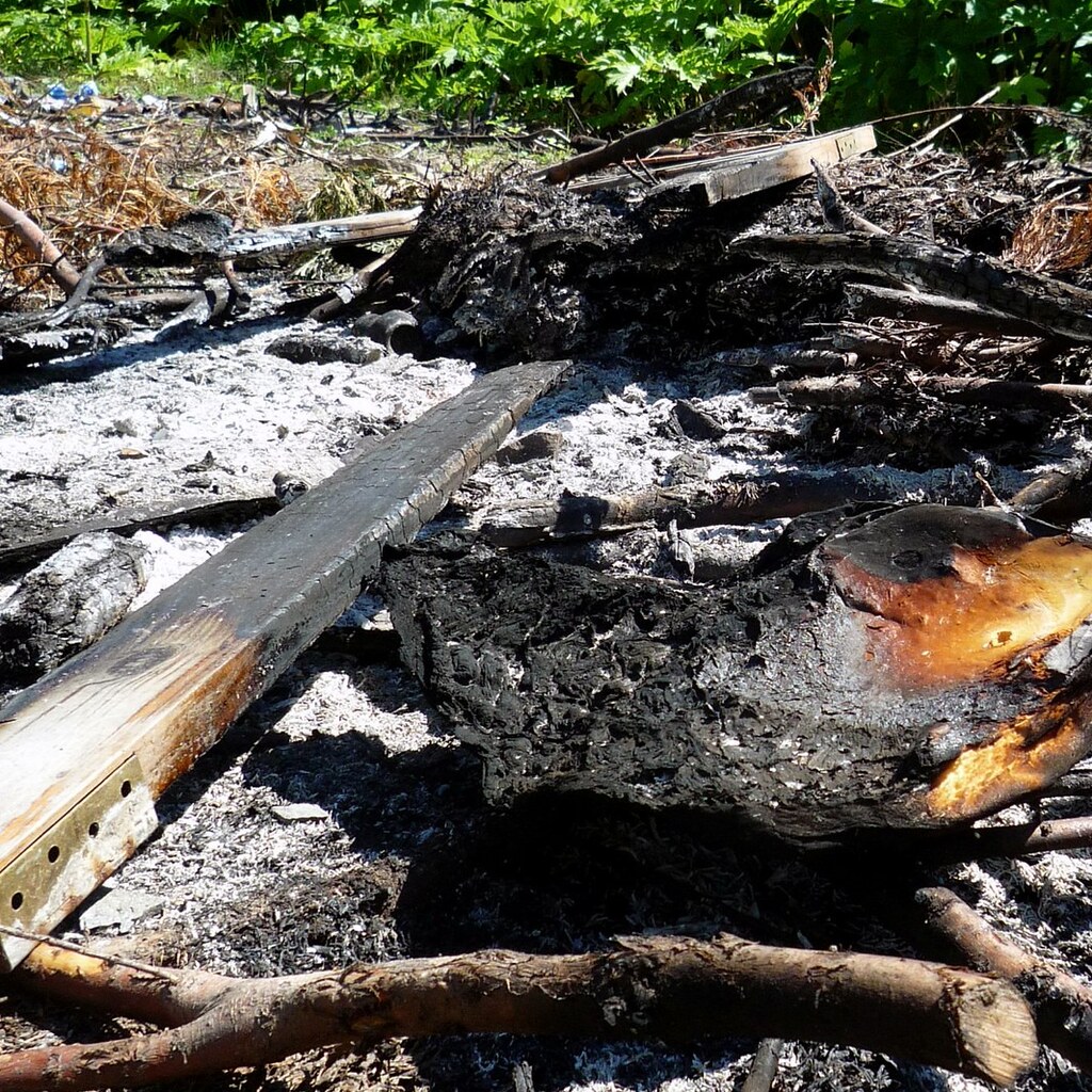 Photo of some burnt wood