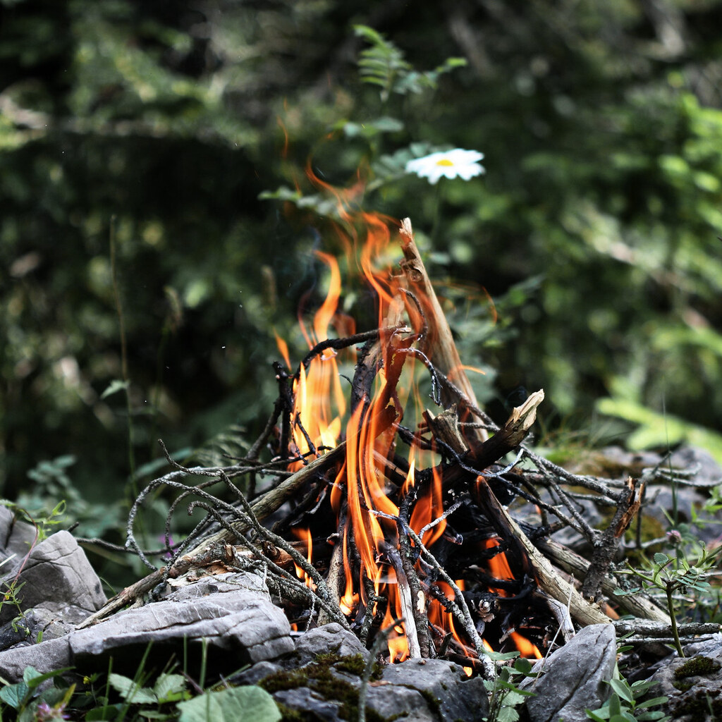 Photo of a campfire