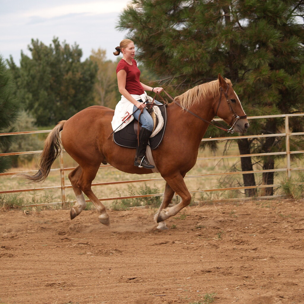 Photo of a cantering horse