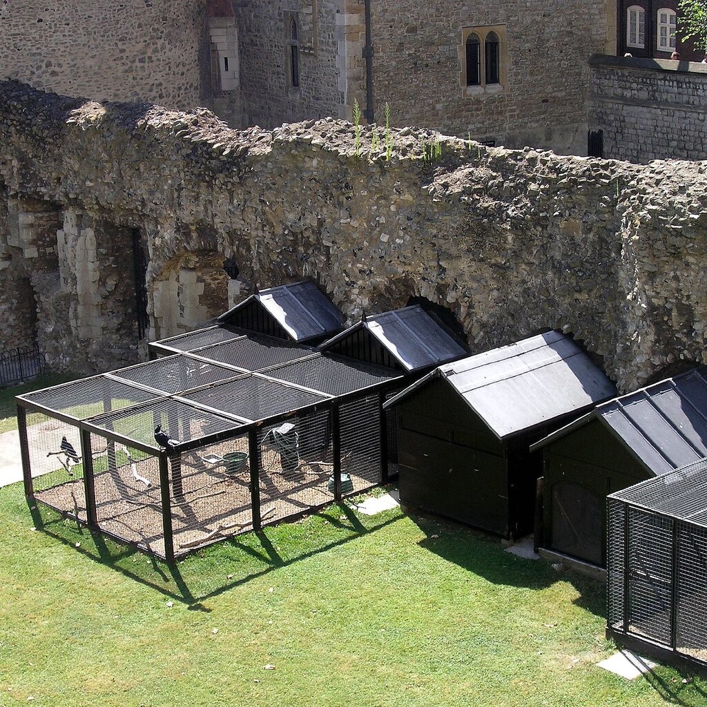 Photo of an aviary