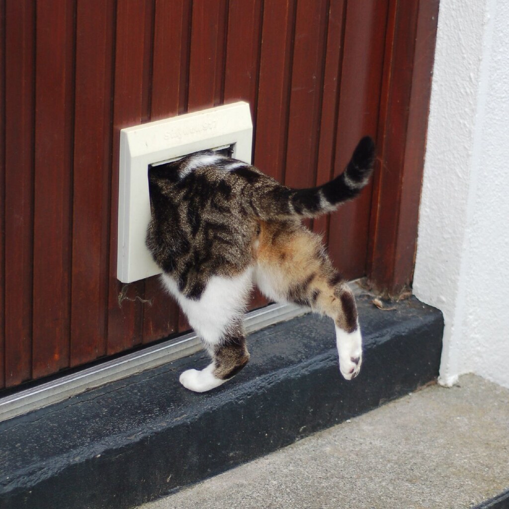 Photo of a catflap