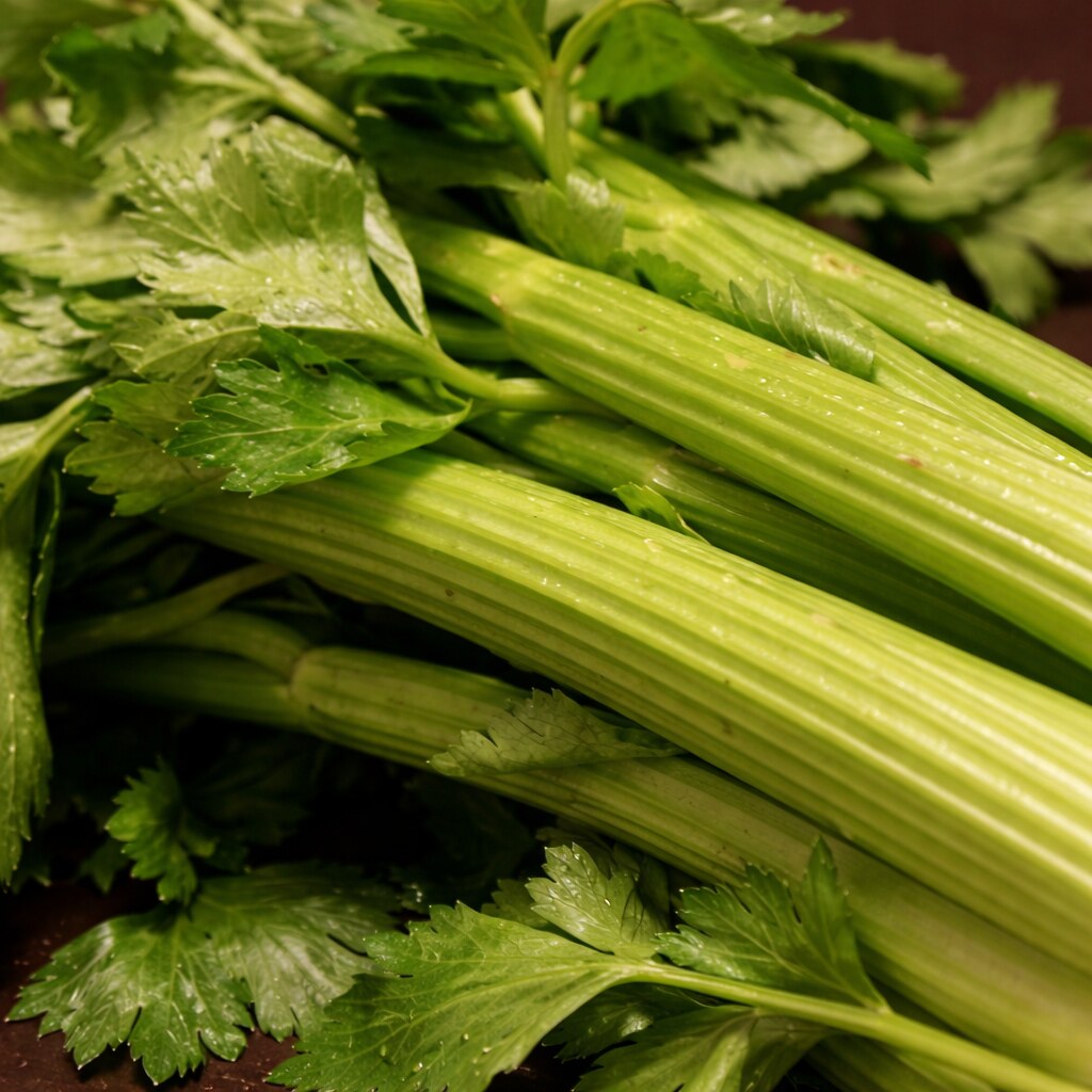 Photo of celery