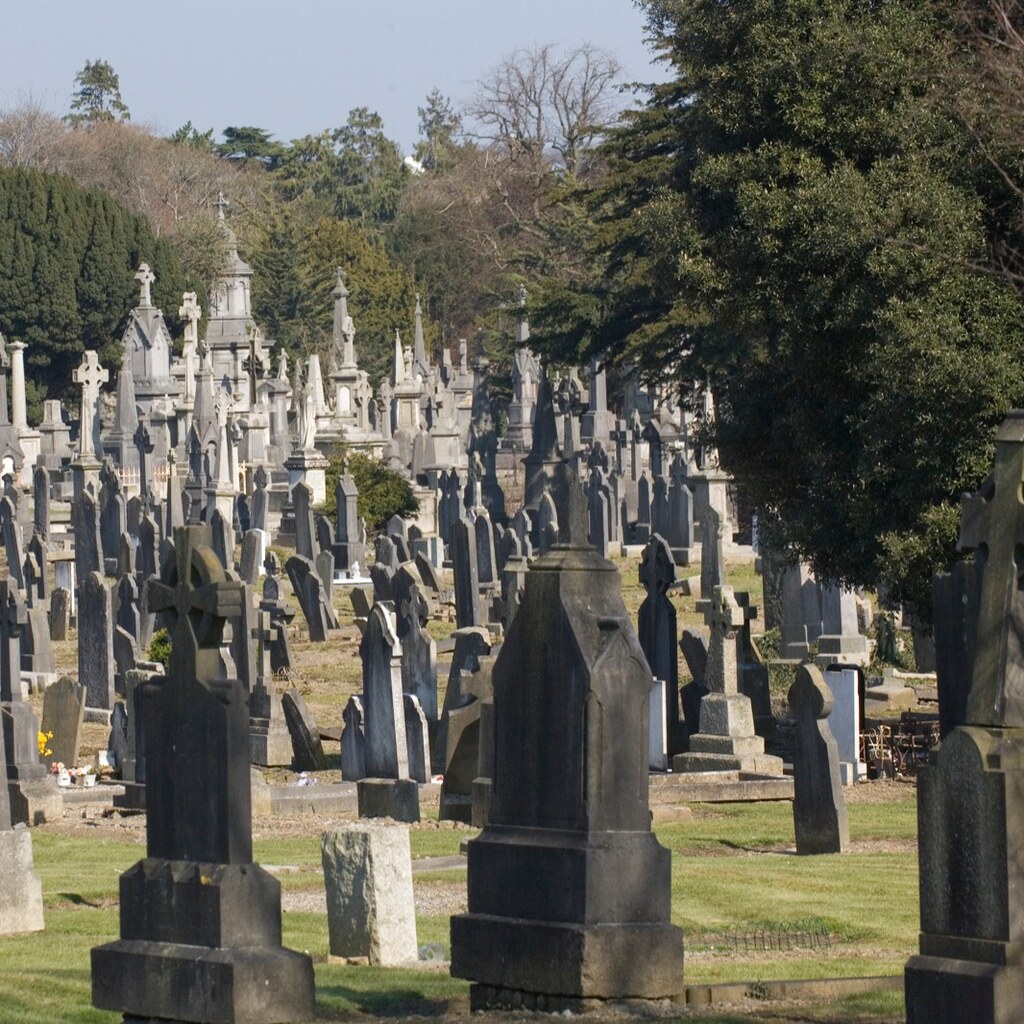 Photo of a cemetery