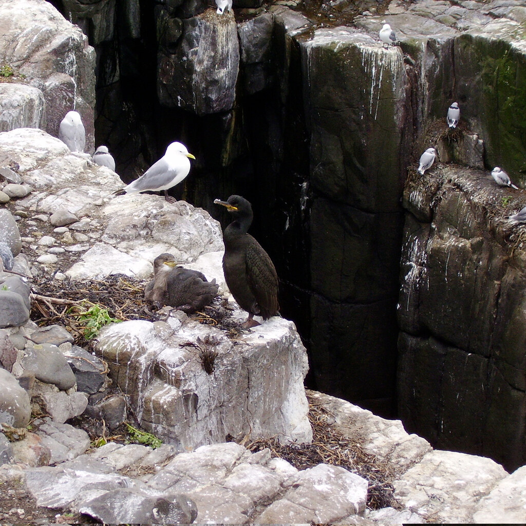 Photo of a chasm