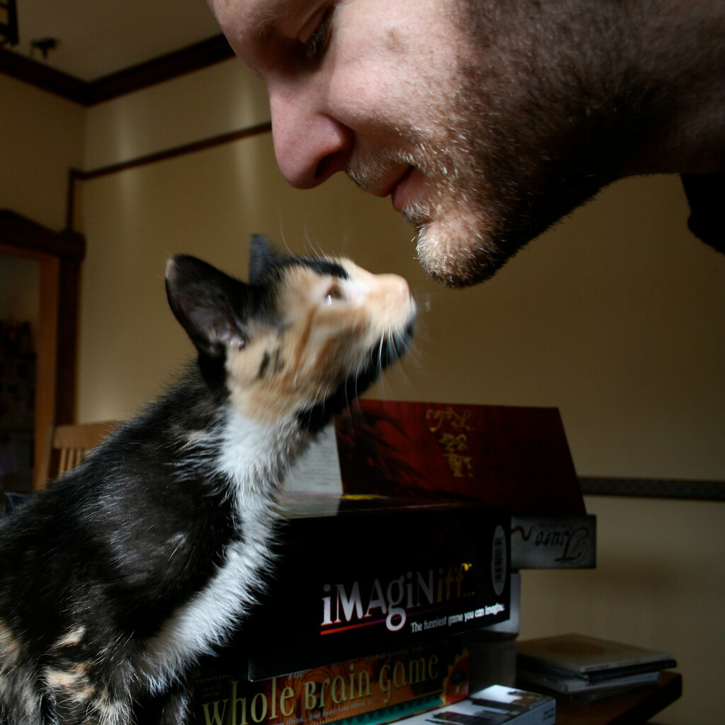Photo of a cat sniffing a man's chin