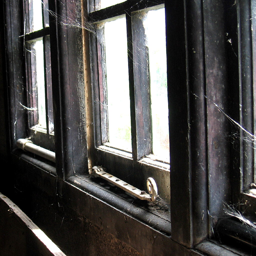 Photo of cobwebs in a window