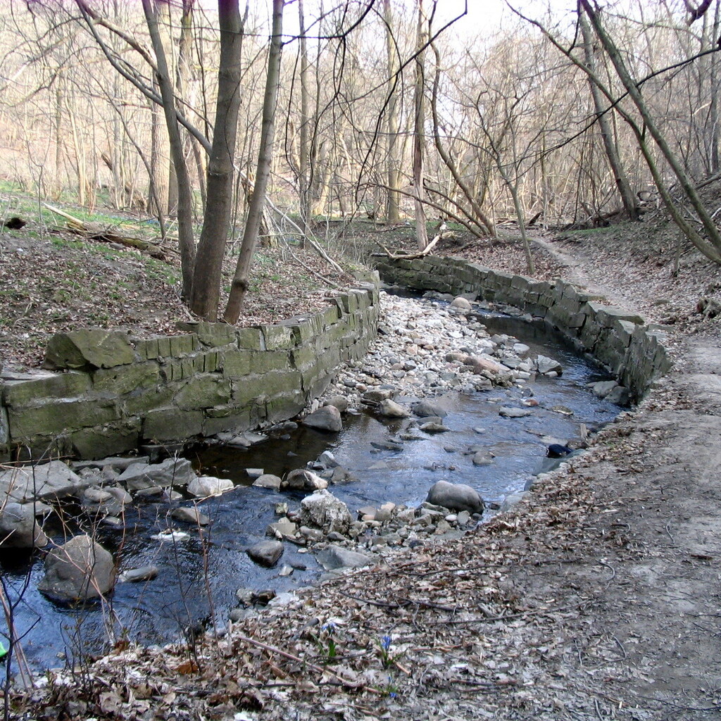 Photo of a creek