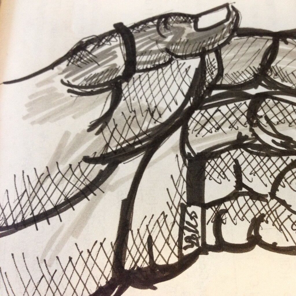 Photo of crosshatch shading