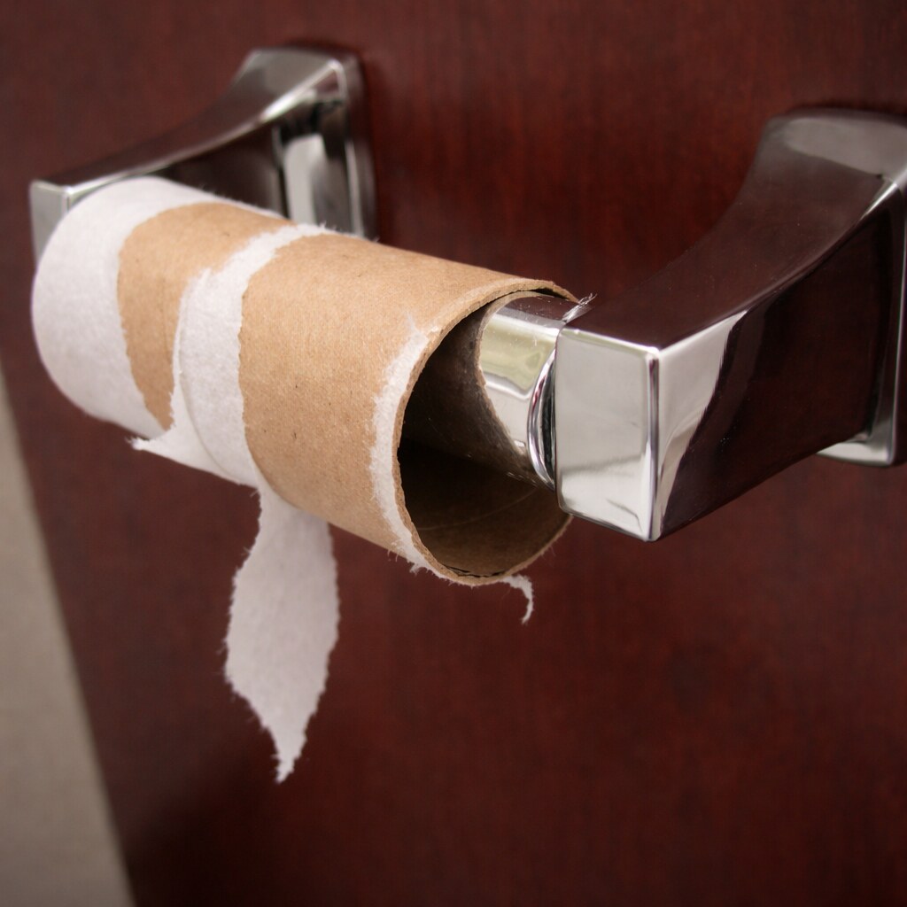 Photo of a toilet roll cylinder.