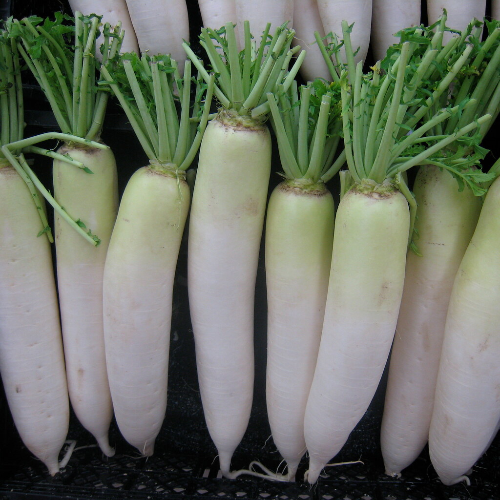 Photo of a diakon radish