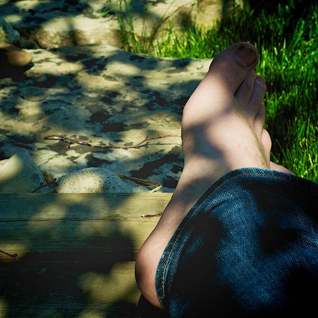 Photo of dappled shade