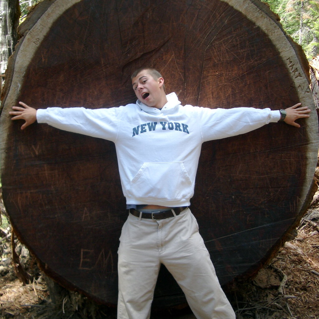 Photo of a man showing diameter on a cut tree