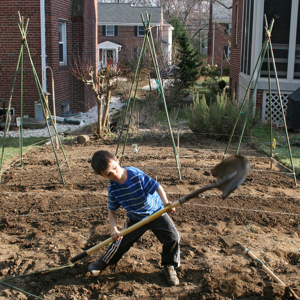 Photo of a boy digging