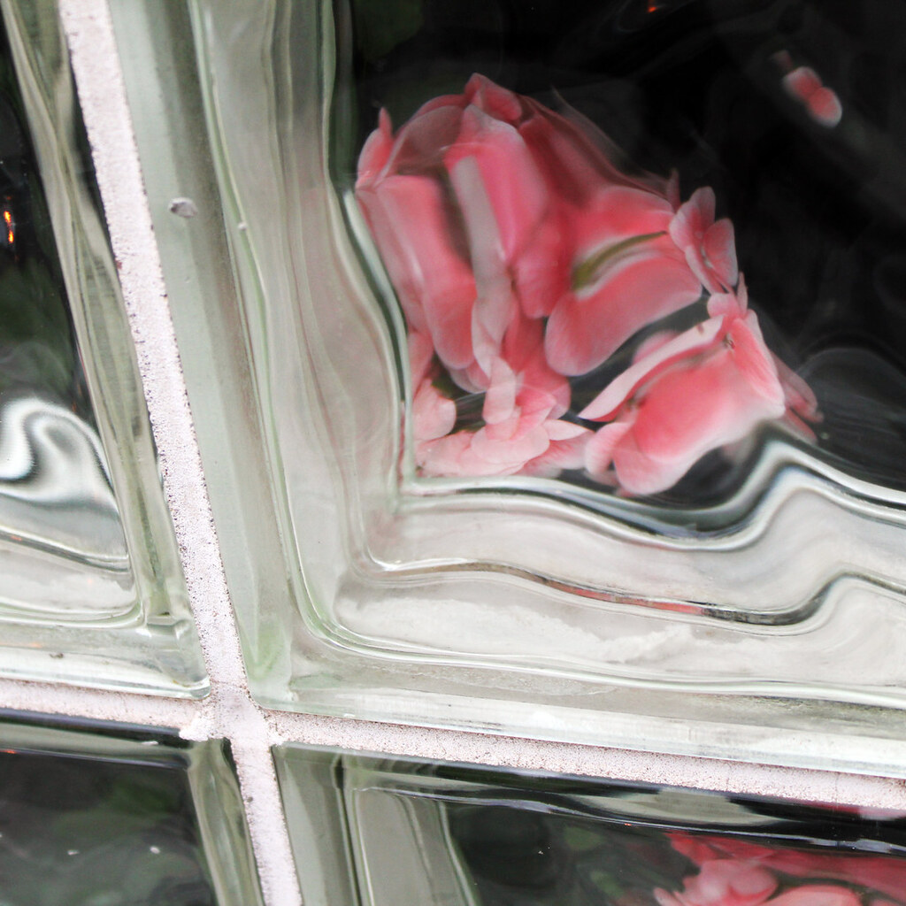 Photo of flowers distorted by glass