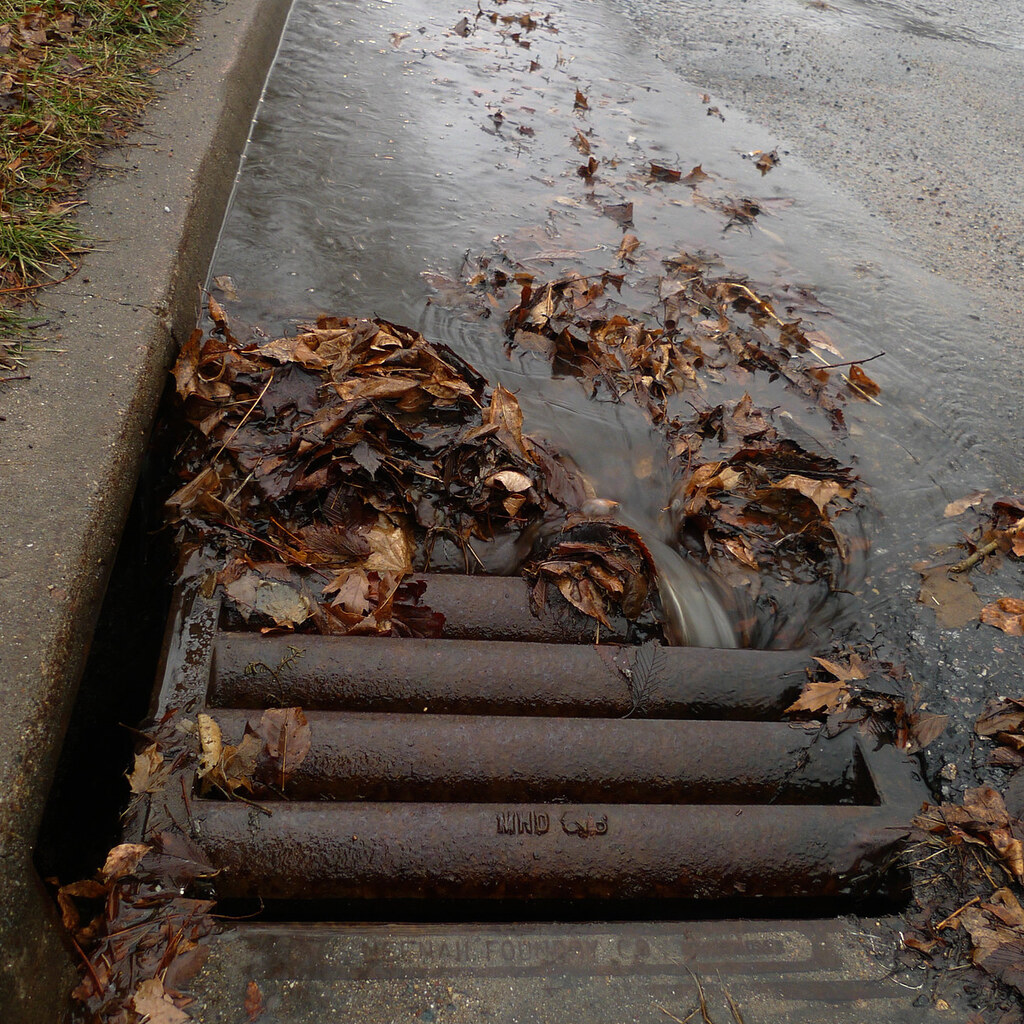 Photo of a drain