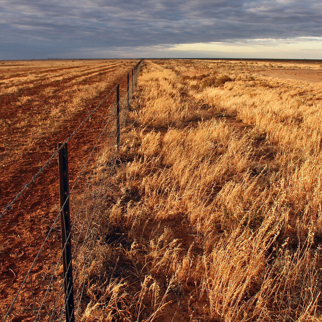 Photo of a drought affected area