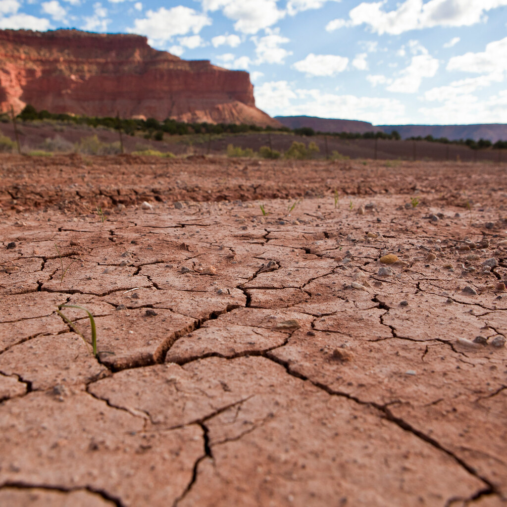 Photo of some dry ground