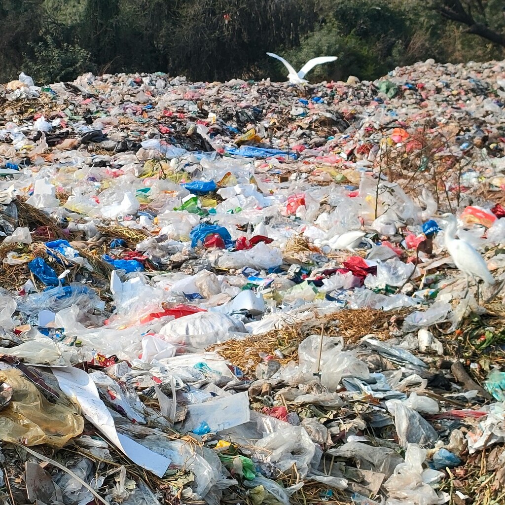 Photo of a rubbish dump