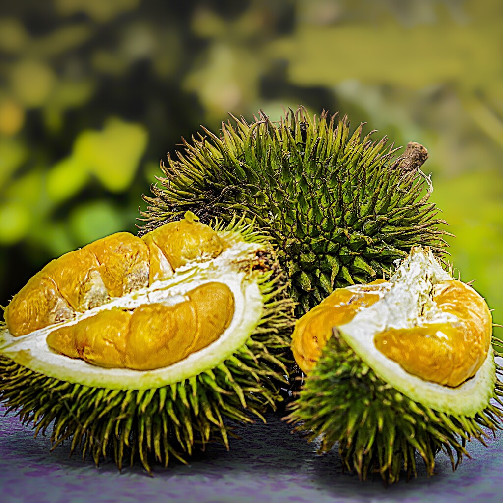 Photo of a durian fruit