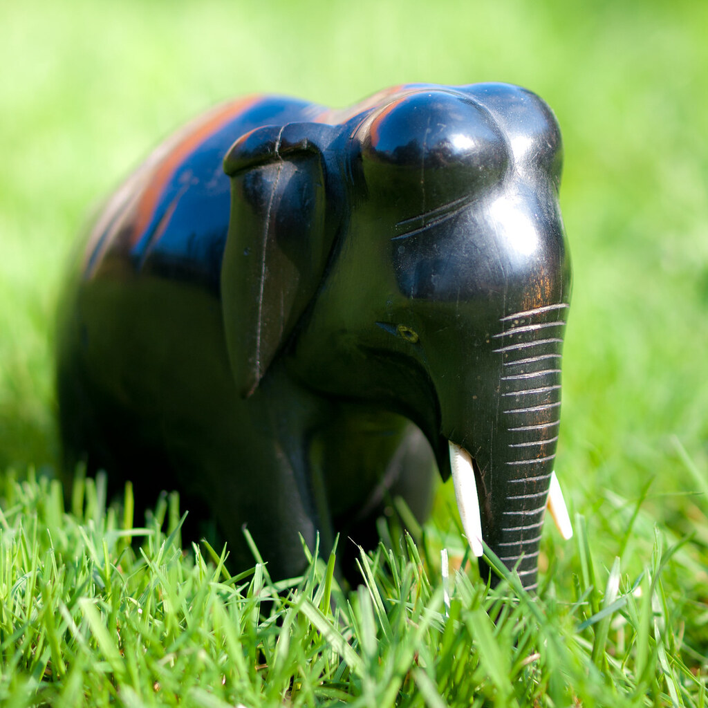 Photo of a carved ebony elephant