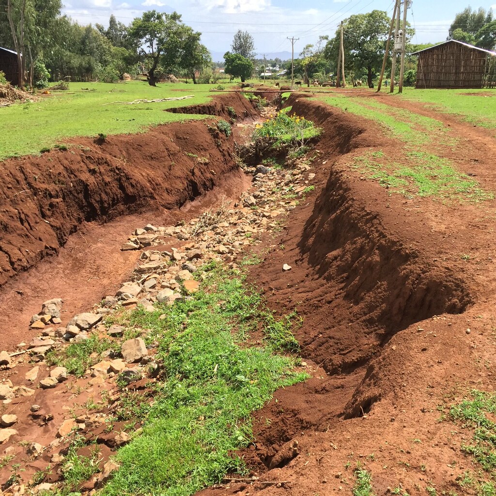 Photo of an eroded waterway