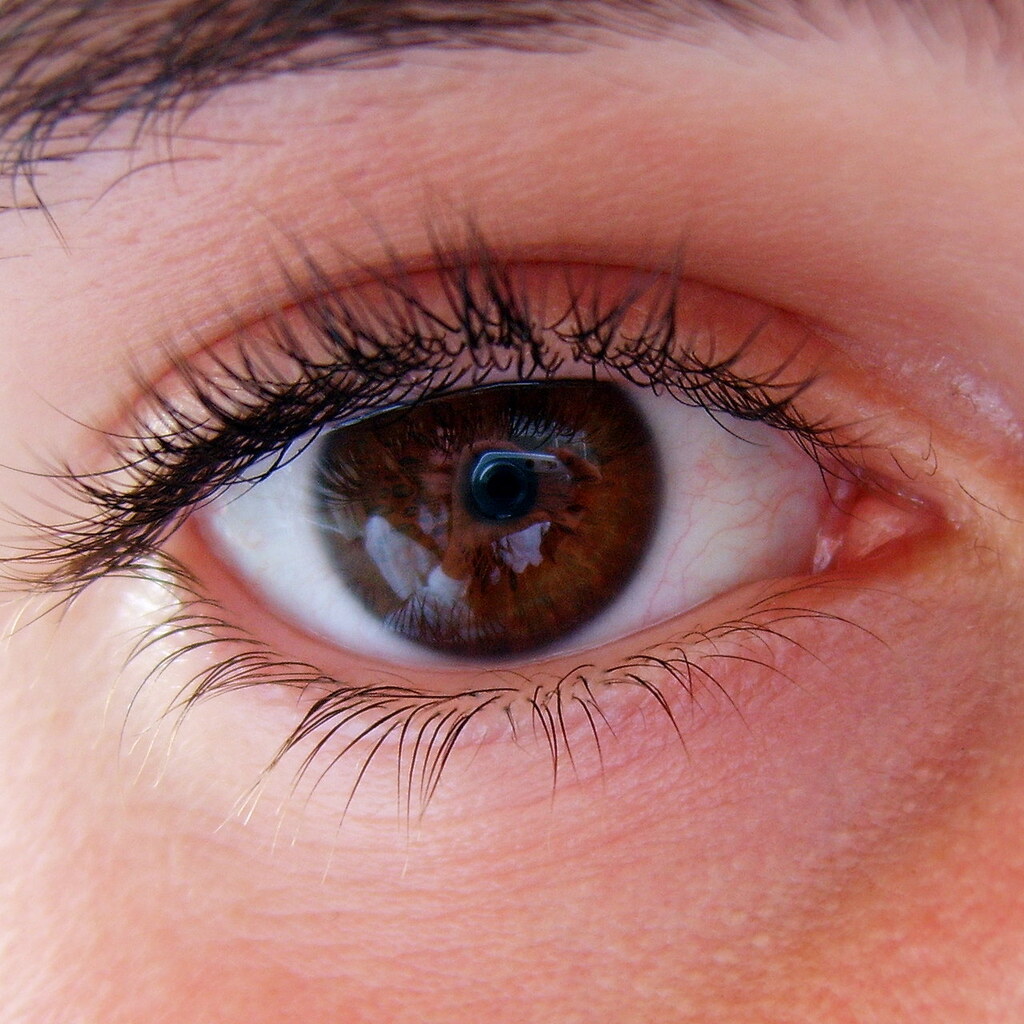 Photo of an eye