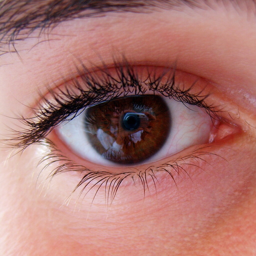 Photo of an eye