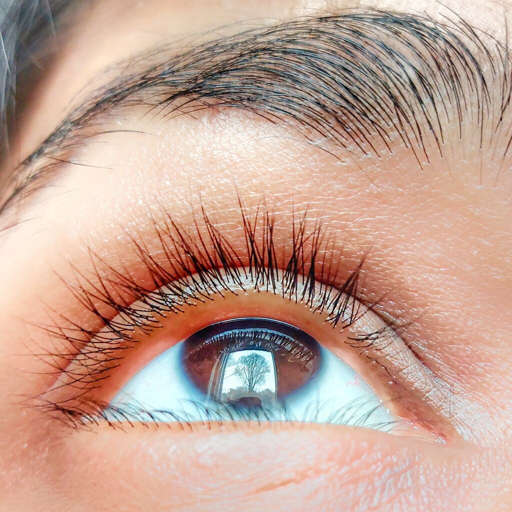 Photo of an eyebrow