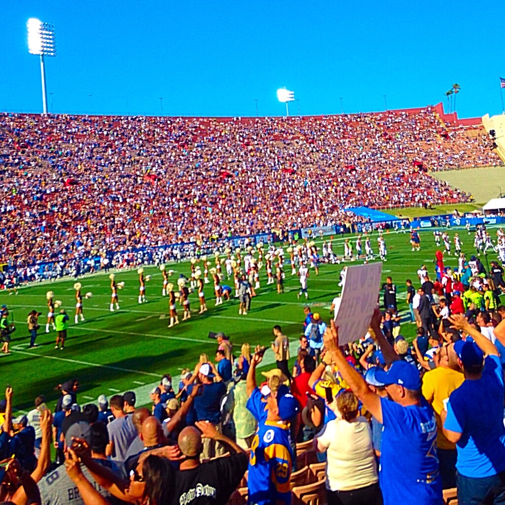 Fans at a sports game