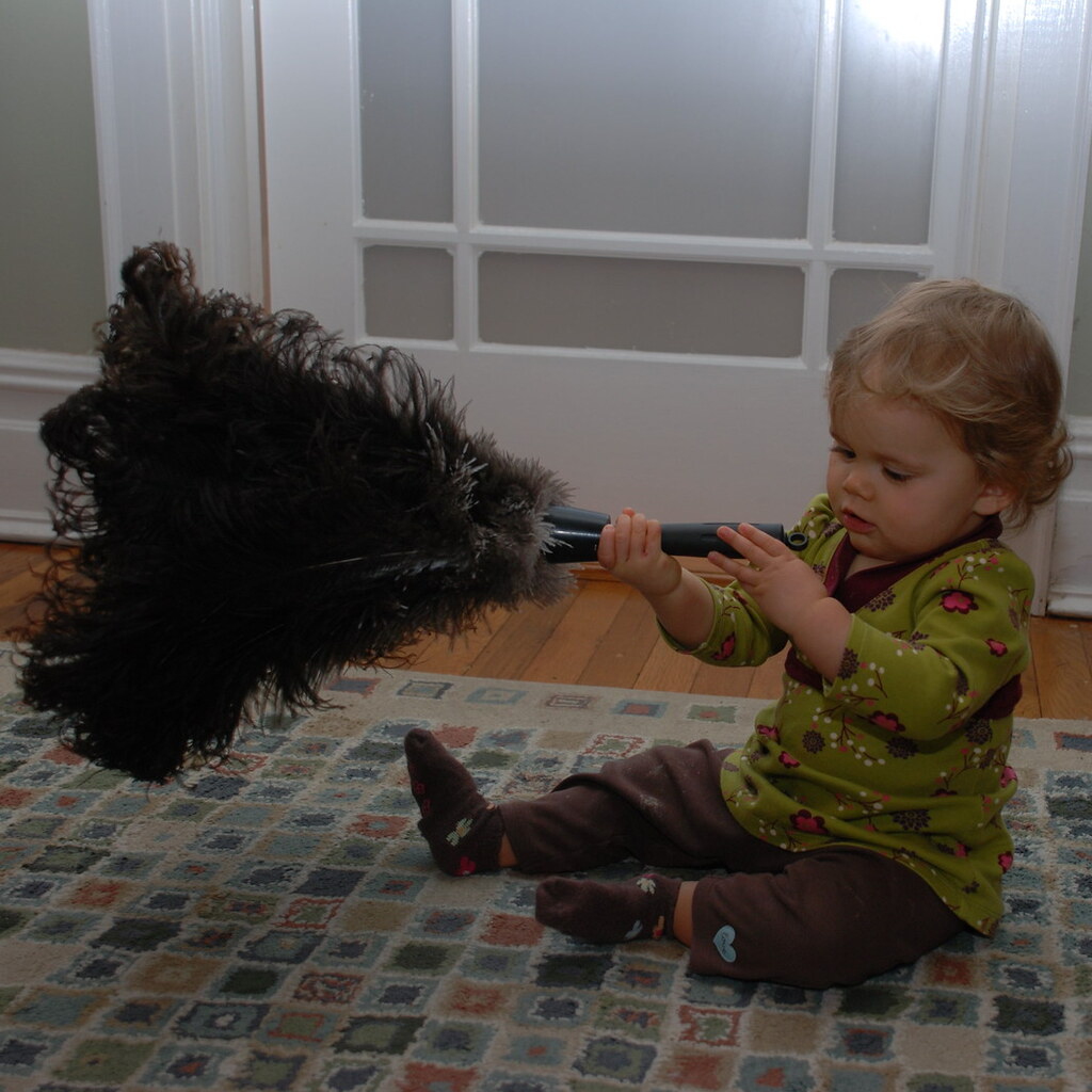 Photo of a feather duster