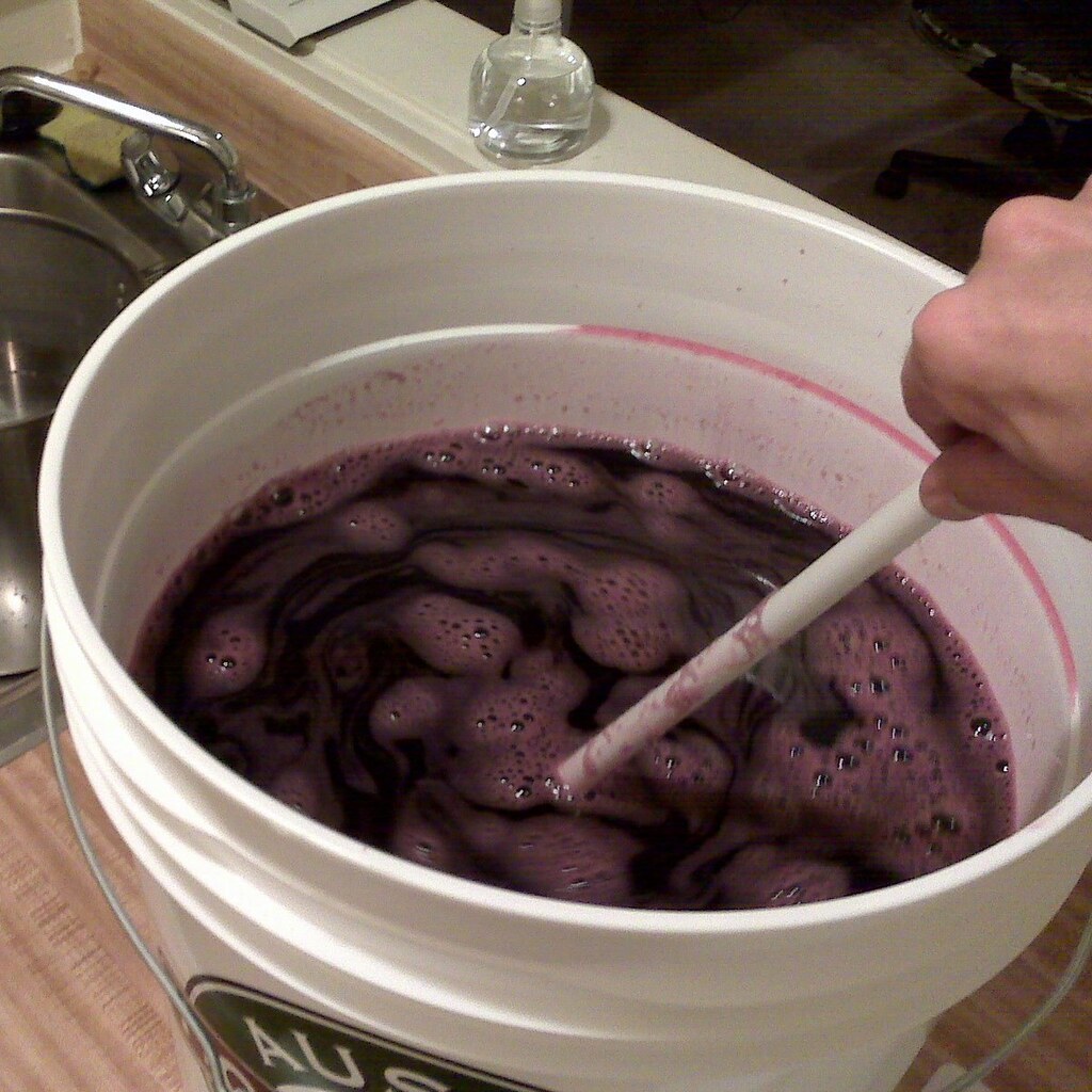 Photo of wine fermenting