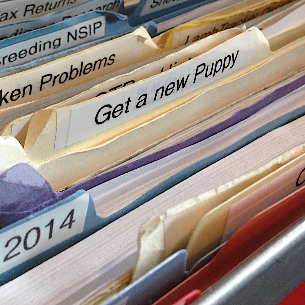 Photo of files