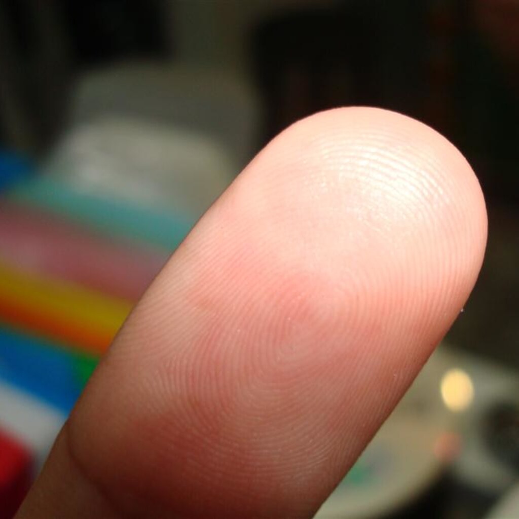 Photo of a fingerprint