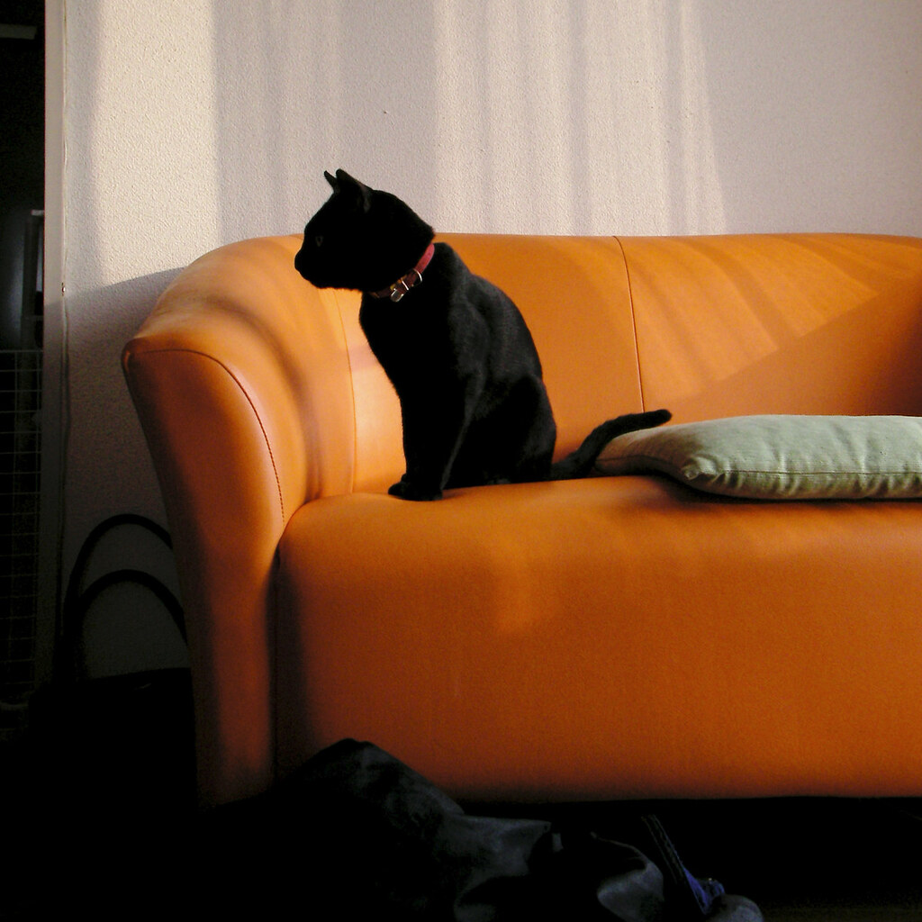 Photo of a firm couch