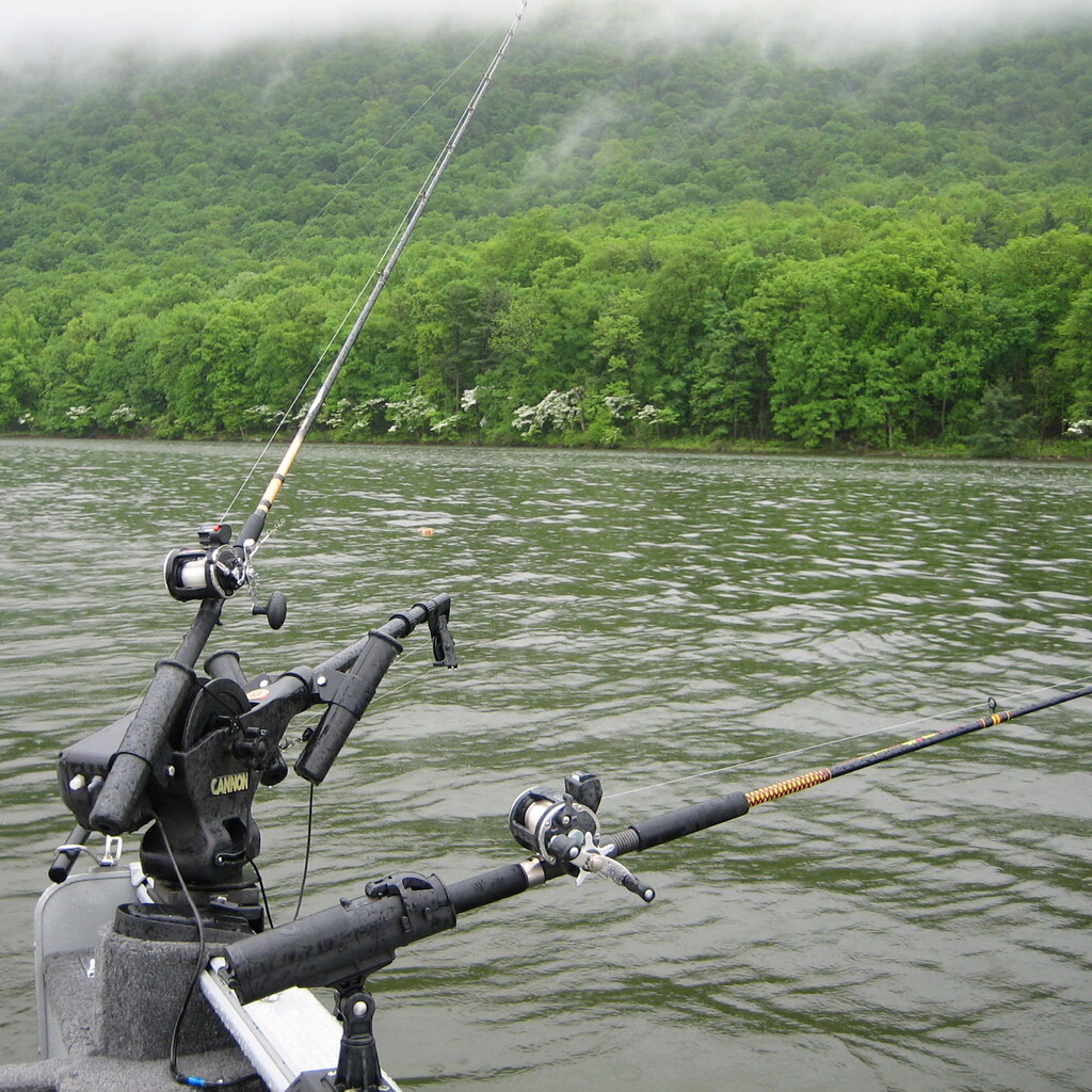 Photo of a fishing rod