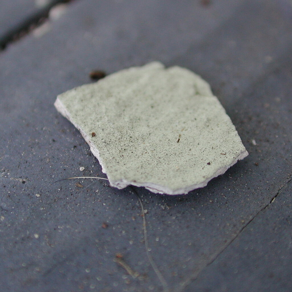 Photo of a flake of paint