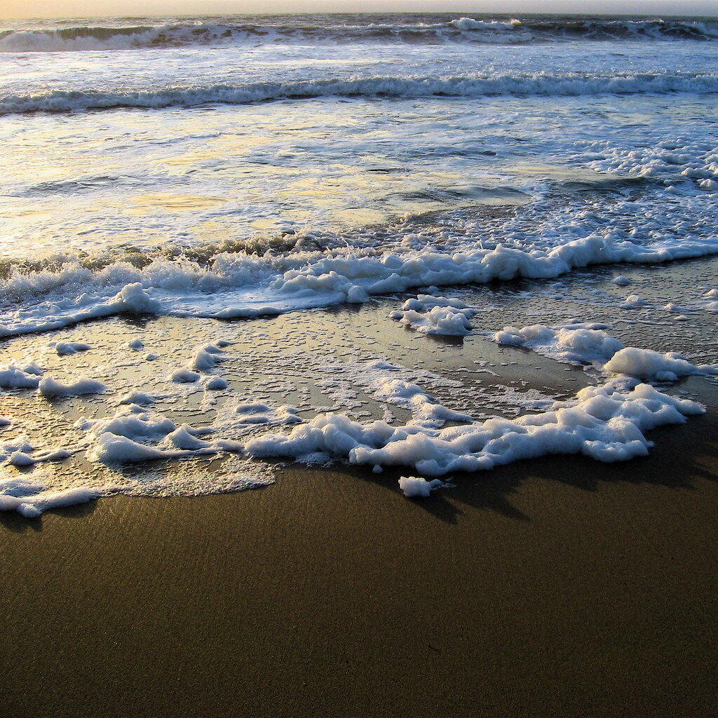 Photo of sea foam