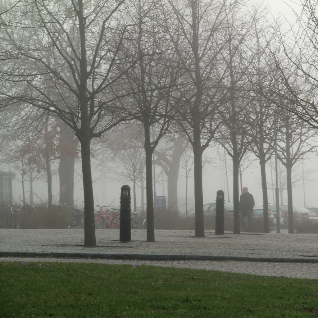Photo of fog