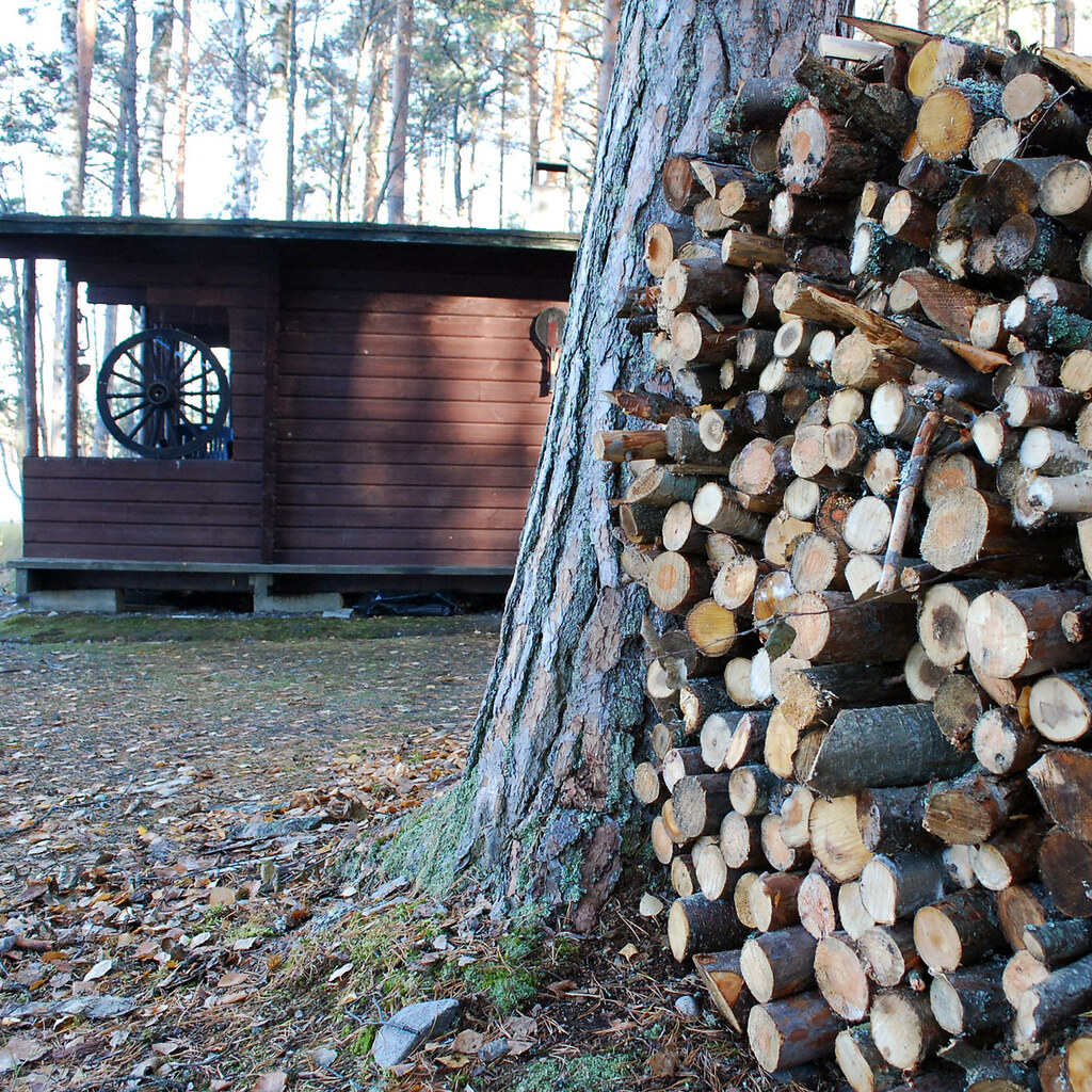 Photo of firewood