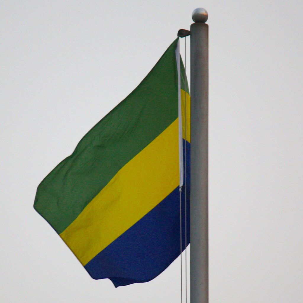 The flag of Gabon.