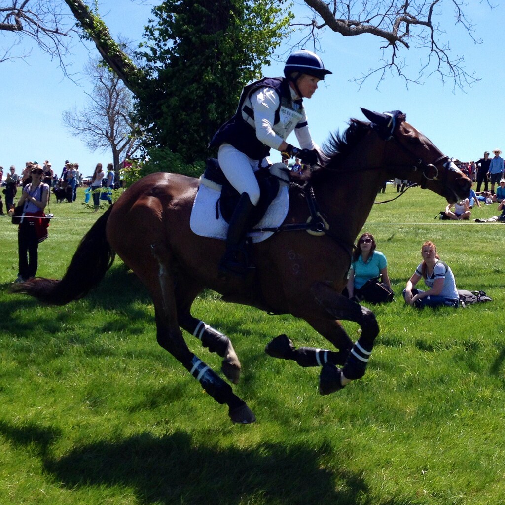Photo of a horse galloping