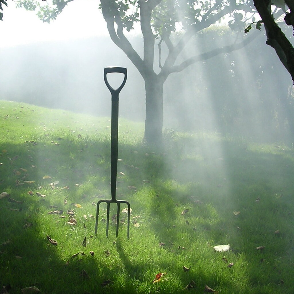 Photo of a garden fork