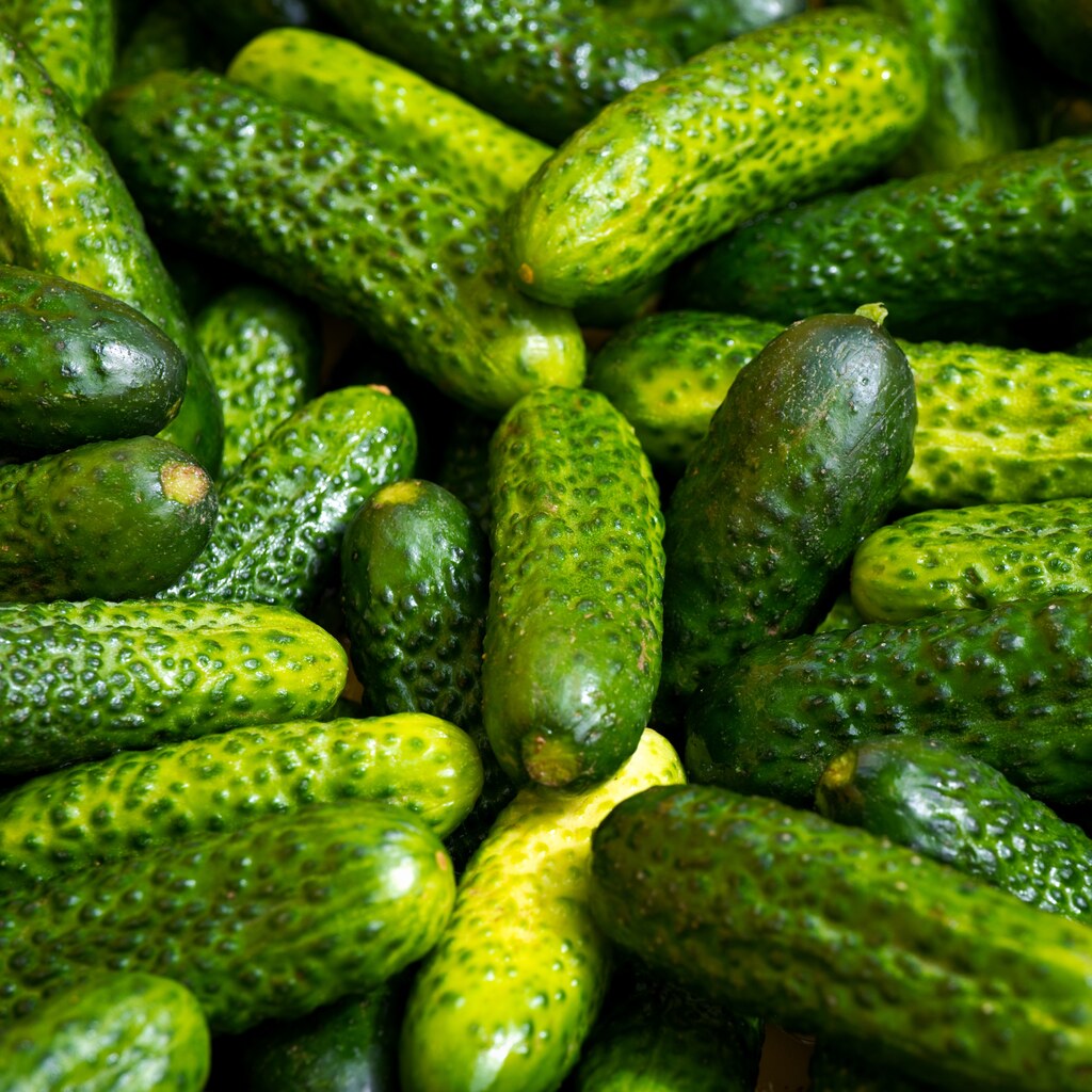 Photo of fresh gherkins
